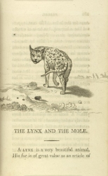 William Mulready, The Lynx and the Mole from Fables Ancient and Modern, Second Edition (1807);Courtesy of The New York Public Library.