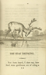 William Mulready, The Stag Drinking from Fables Ancient and Modern, Second Edition (1807);Courtesy of The New York Public Library.